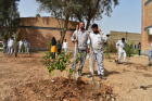 گزارش تصویری مراسم روز درختکاری