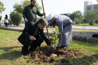 جشن طبیعت در دانشگاه: درختان جدید در دانشگاه علوم کشاورزی و منابع طبیعی خوستان به زمین نشستند.