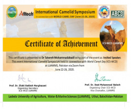 سخنرانی دکتر طاهره محمدآبادی در سمپوزیوم بین المللی شترسانان (Camelid)