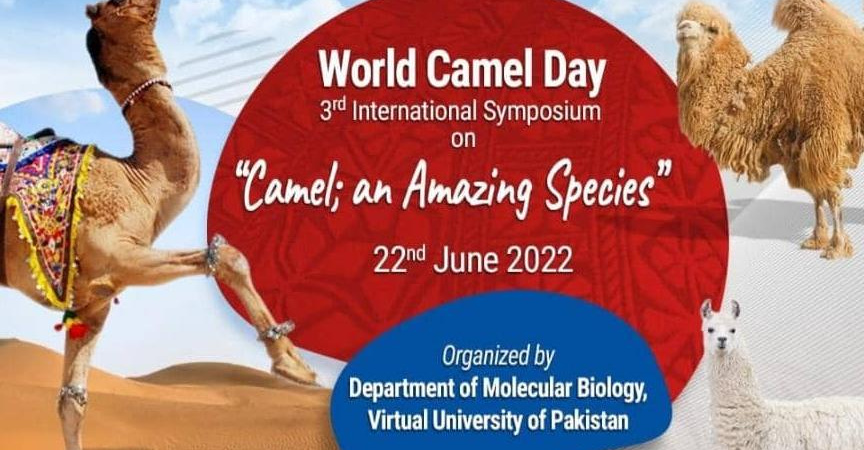ارائه دکتر طاهره محمدآبادی به عنوان سخنران کلیدی در سومین سمپوزیوم بین المللی شتر، به مناسب روز جهانی شتر، لاهور پاکستان