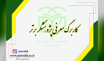 کاربرگ معرفی پژوهشگر برتر از بین دانشجویان تحصیلات تکمیلی