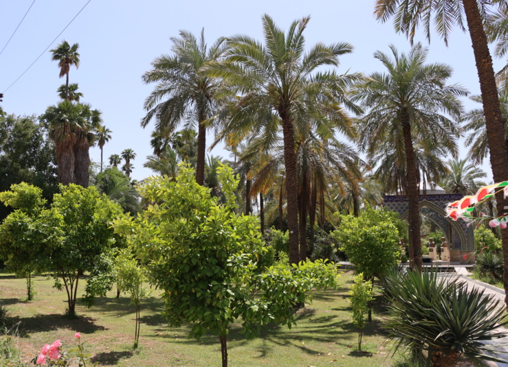 تصاویر دانشگاه