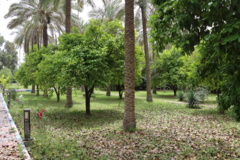 تصاویر دانشگاه