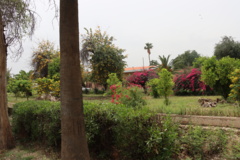 تصاویر دانشگاه
