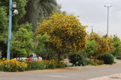 تصاویر دانشگاه