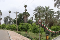 تصاویر دانشگاه