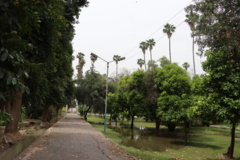 تصاویر دانشگاه