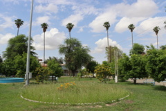 تصاویر دانشگاه