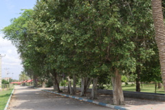 تصاویر دانشگاه