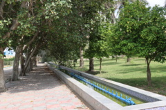 تصاویر دانشگاه