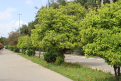 تصاویر دانشگاه