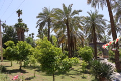 تصاویر دانشگاه