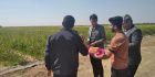 دانشگاه و صنعت دست در دست: &quot;بازدید هیئت دانشگاه علوم کشاورزی و منابع طبیعی خوزستان از مرکز تحقیقات نیشکر&quot;