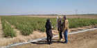 دانشگاه و صنعت دست در دست: &quot;بازدید هیئت دانشگاه علوم کشاورزی و منابع طبیعی خوزستان از مرکز تحقیقات نیشکر&quot;