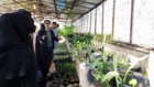 بازدید دبیران علوم تجربی و کار و فناوری از دانشگاه