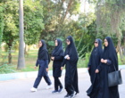 همایش پیاده‌روی دانشگاهیان دانشگاه علوم کشاورزی و منابع طبیعی خوزستان برگزار شد