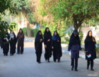 همایش پیاده‌روی دانشگاهیان دانشگاه علوم کشاورزی و منابع طبیعی خوزستان برگزار شد