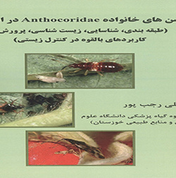 سن‌های خانواده آنتوکوریده در ایران (طبقه‌بندی، زیست‌شناسی، پرورش و کاربردهای بالقوه در کنترل زیستی)
