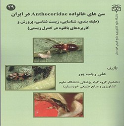 سن‌های خانواده Anthocoridae در ایران