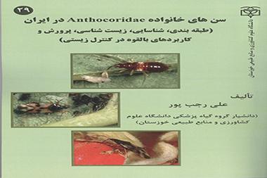 سن‌های خانواده آنتوکوریده در ایران (طبقه‌بندی، زیست‌شناسی، پرورش و کاربردهای بالقوه در کنترل زیستی)