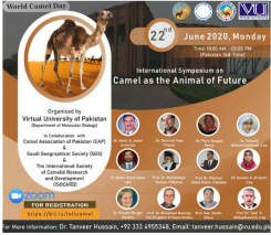 گزارش سخنرانی دکتر طاهره محمدآبادی در سمپوزیوم بین المللی شتر حیوان آینده